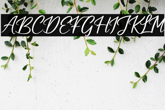 Cuningham Singleton Example 1