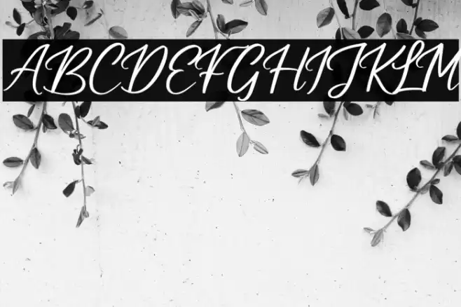 Cuningham Singleton Font examples