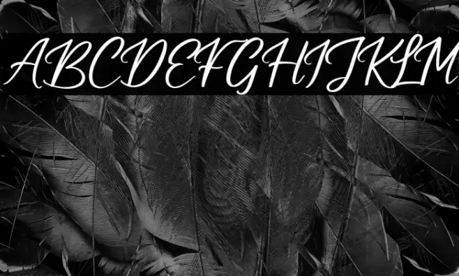 Cuningham Singleton Font examples