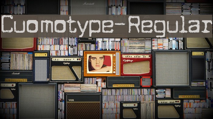 Cuomotype-Regular Font examples