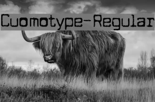 Cuomotype-Regular Font examples