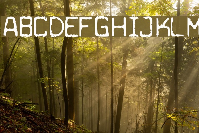 Cuomotype Font examples