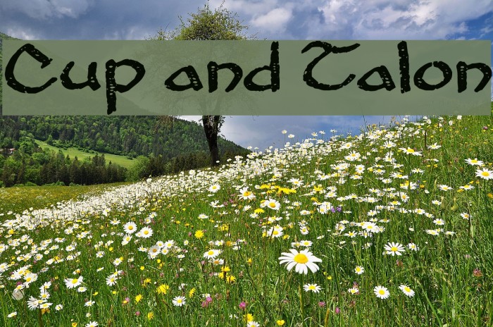 Cup and Talon Font examples