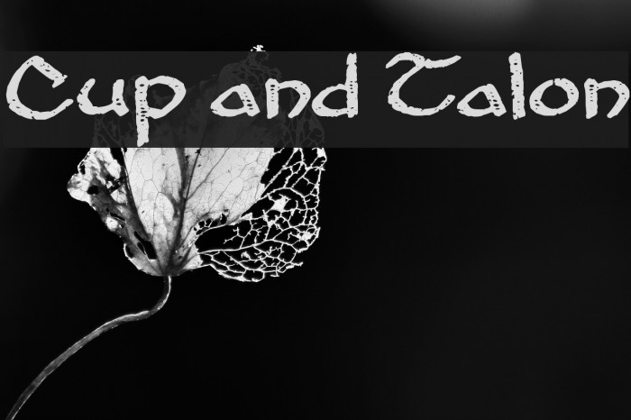 Cup and Talon Font examples