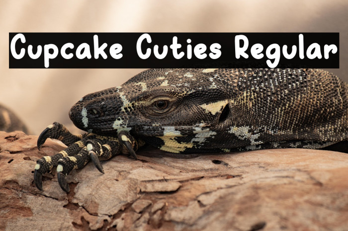 Cupcake Cuties Regular Polices examples