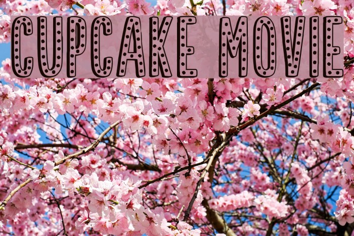 Cupcake Movie Example 1