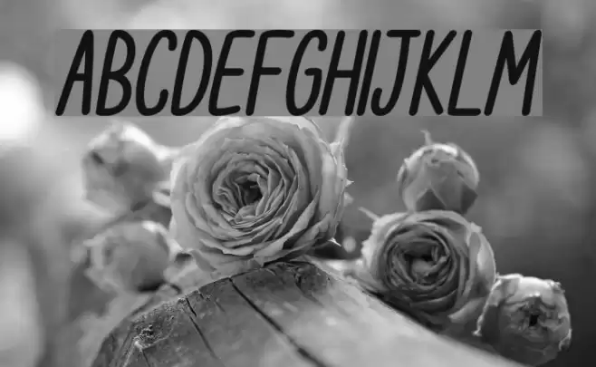 Cupcake Smiles Bold Italic Font examples