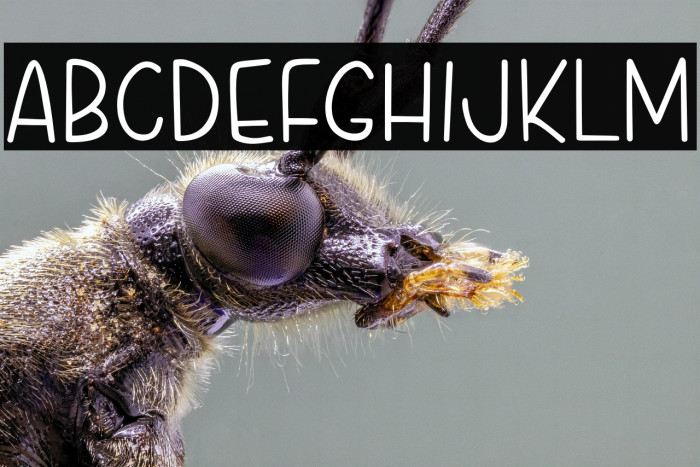 Cupcake Treats Example 1