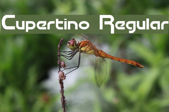 Cupertino Regular Font examples