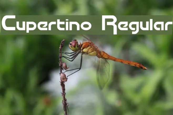 Cupertino Regular Example 2