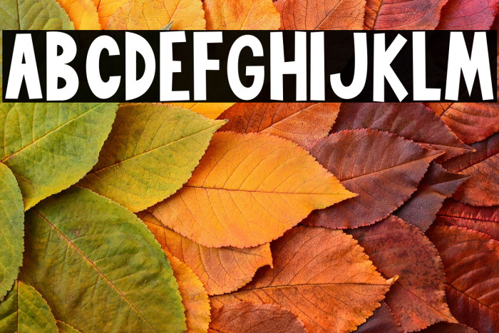 Cupid Darling Example 3