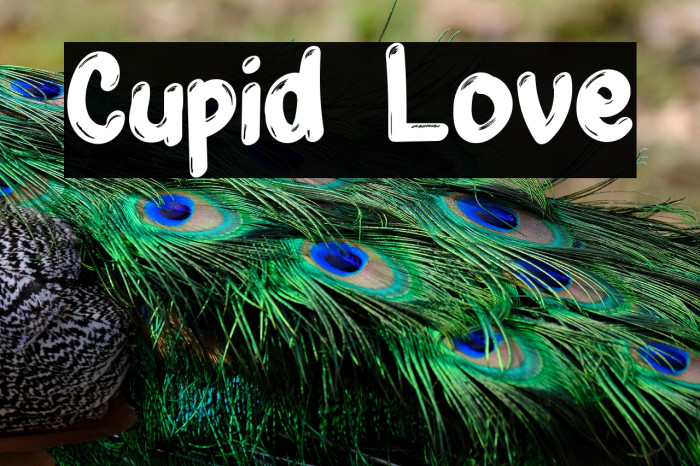 Cupid Love Example 2