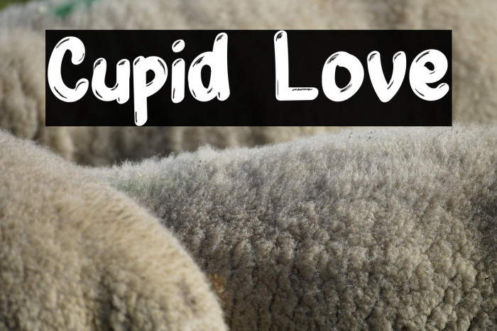 Cupid Love Example 3