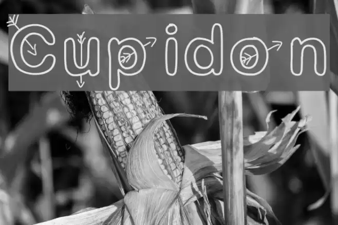 Cupidon Font examples