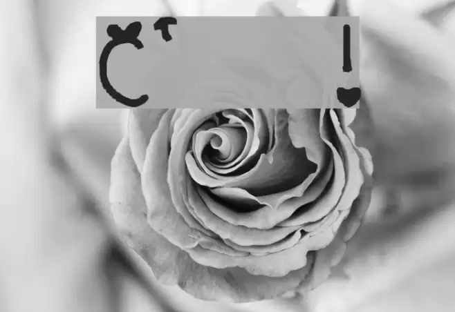 Cupid's gonna get ya ! フォント examples