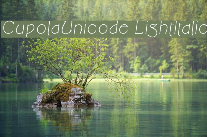 CupolaUnicode LightItalic Example 2