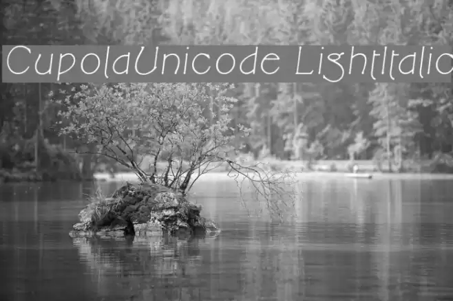 CupolaUnicode LightItalic Font examples