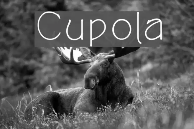 Cupola Font examples