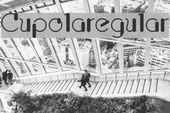 Cupolaregular Polices examples