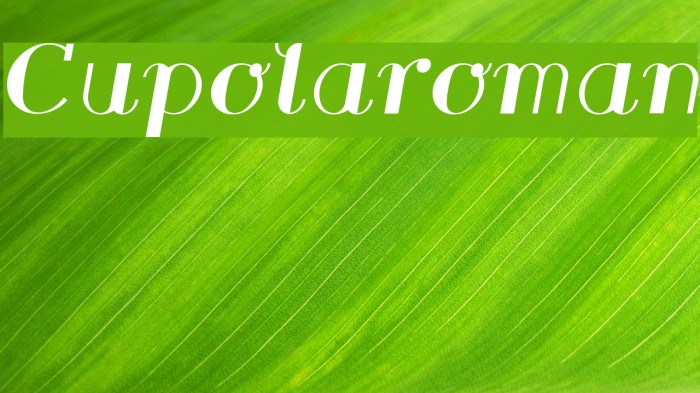Cupolaroman フォント examples
