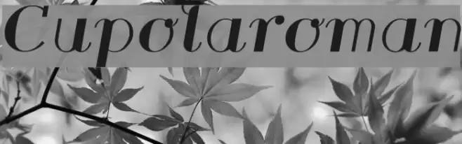 Cupolaroman Font examples