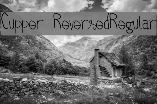 Cupper ReversedRegular Font examples