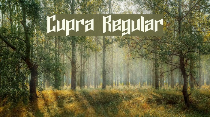 Cupra Regular Font examples