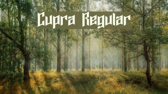 Cupra Regular Example 2