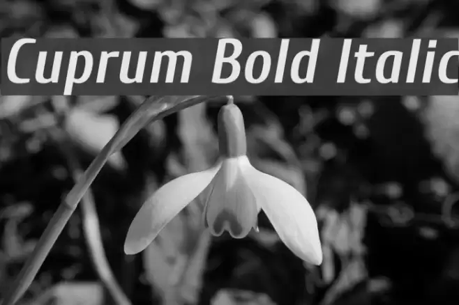 Cuprum Bold Italic Font examples