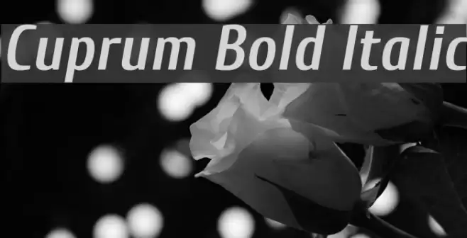 Cuprum Bold Italic Font examples