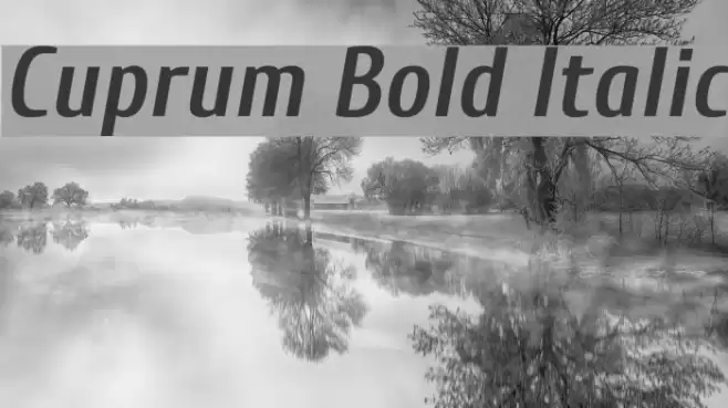 Cuprum Bold Italic Font examples