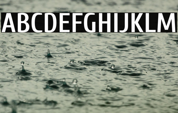 Cuprum Bold Example 3