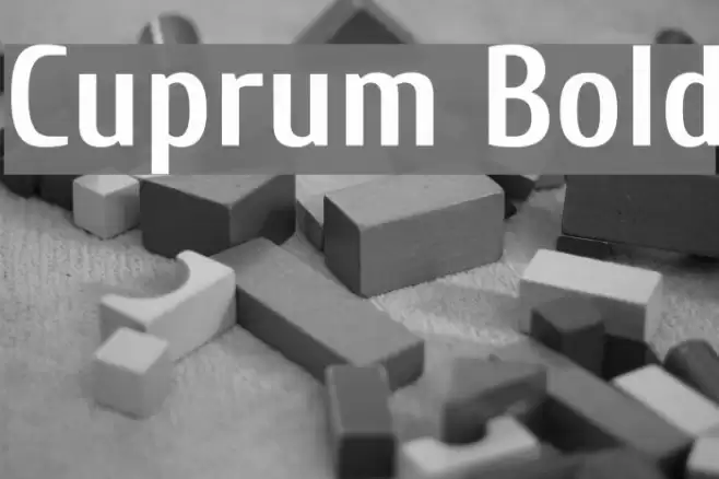 Cuprum Bold Font examples