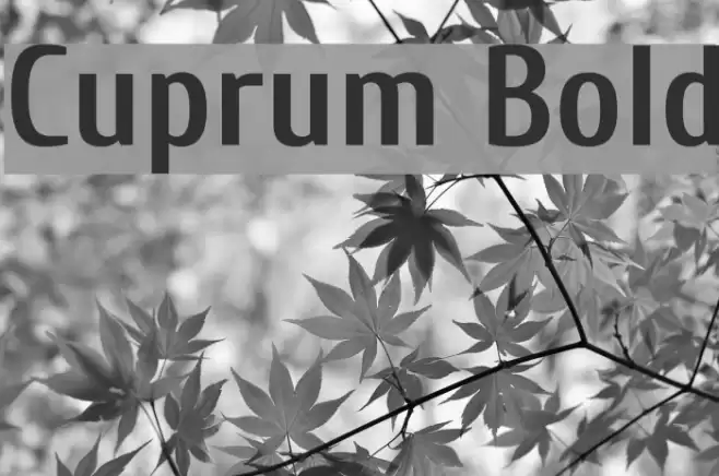 Cuprum Bold Font examples