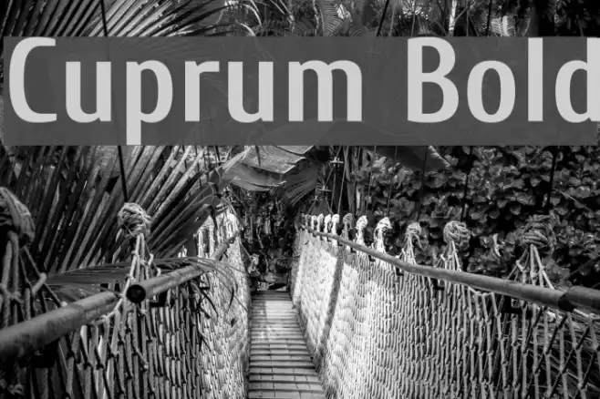 Cuprum Bold Font examples
