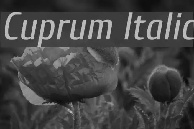 Cuprum Italic Font examples