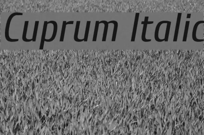 Cuprum Italic Font examples