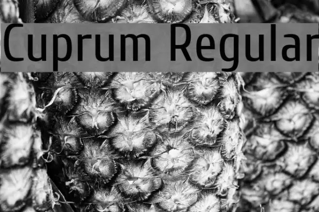 Cuprum Regular Font examples