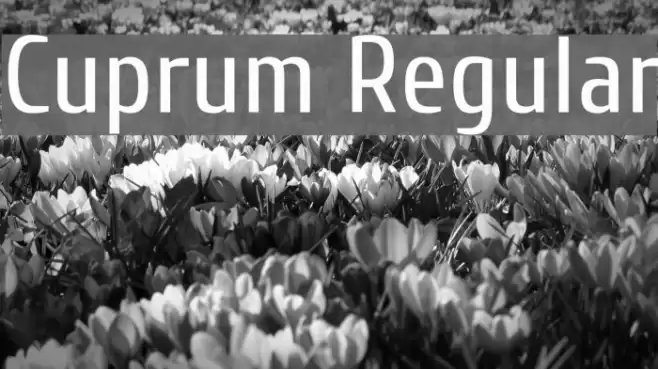 Cuprum Regular Font examples