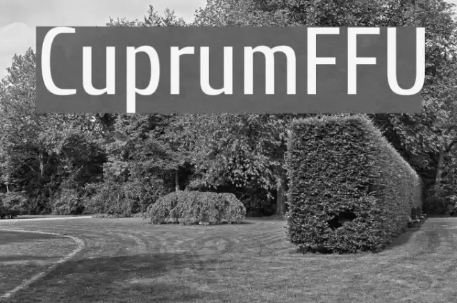 CuprumFFU Font examples