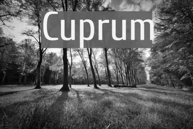 Cuprum Font examples