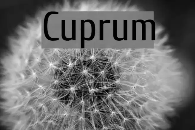 Cuprum Font examples