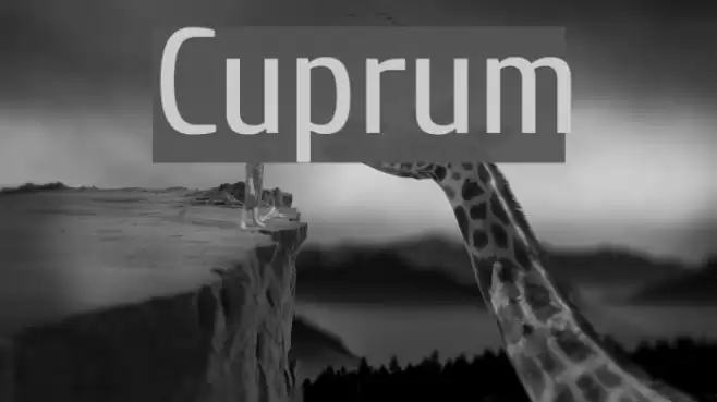 Cuprum Font examples