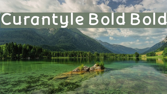 Curantyle Bold Bold Font examples
