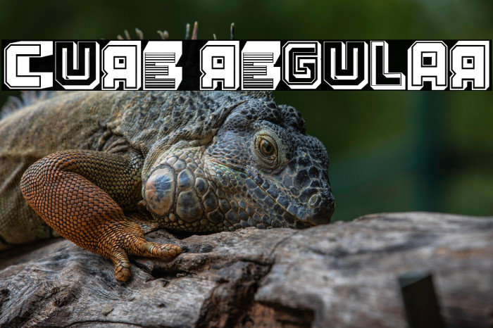 Cure Regular Example 1