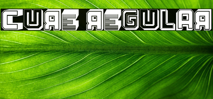 Cure Regular Example 2