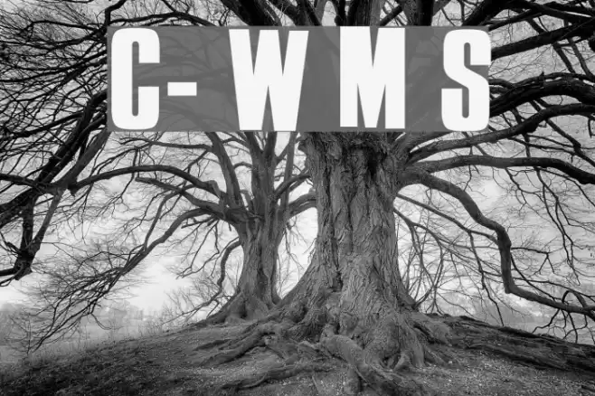 Cure- Wild Mood Swings Font examples