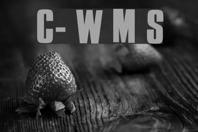 Cure- Wild Mood Swings Font examples