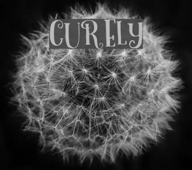 Curely Font examples