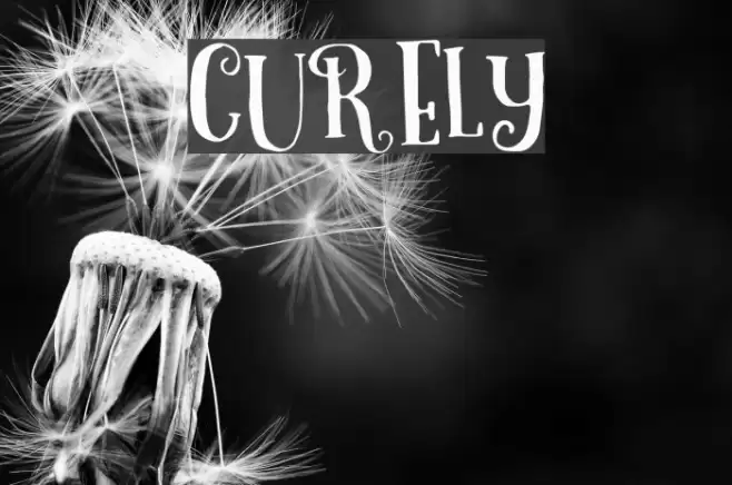 Curely Font examples